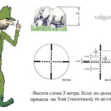 Тимофей Осечкин ОТ6