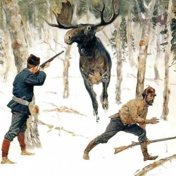 The moose hunt