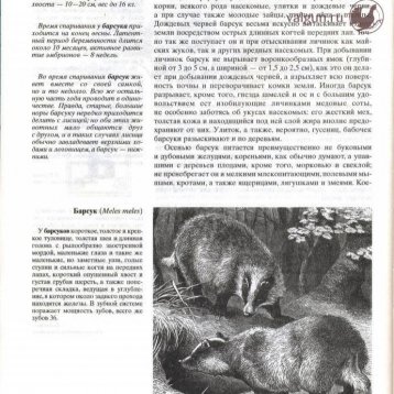 Русская охота Страница 14