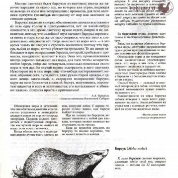Русская охота Страница 17
