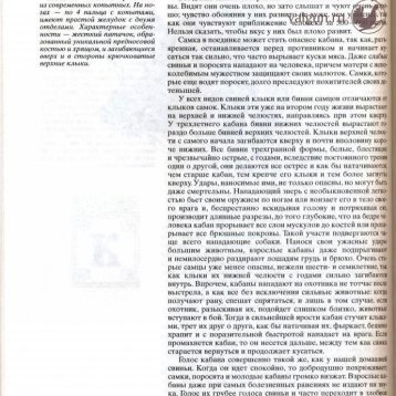 Русская охота Страница 280