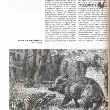 Русская охота Страница 282