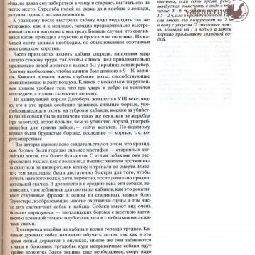 Русская охота Страница 285