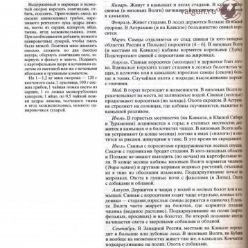 Русская охота Страница 290