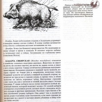 Русская охота Страница 291