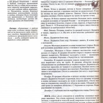 Русская охота Страница 440