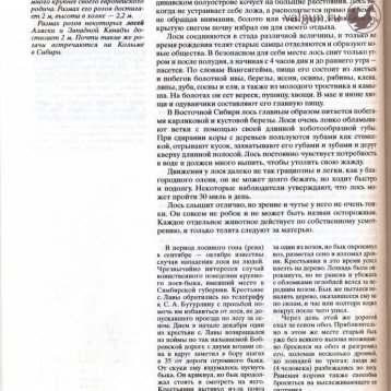 Русская охота Страница 442