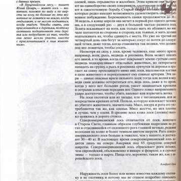 Русская охота Страница 444