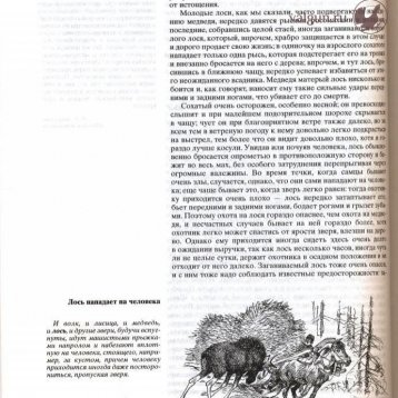 Русская охота Страница 452