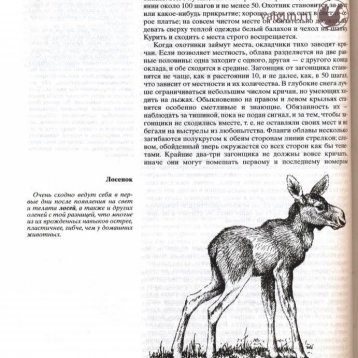 Русская охота Страница 462