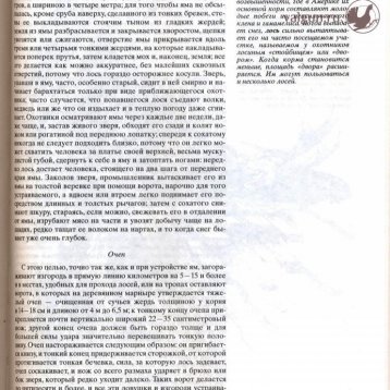 Русская охота Страница 465