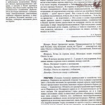 Русская охота Страница 558