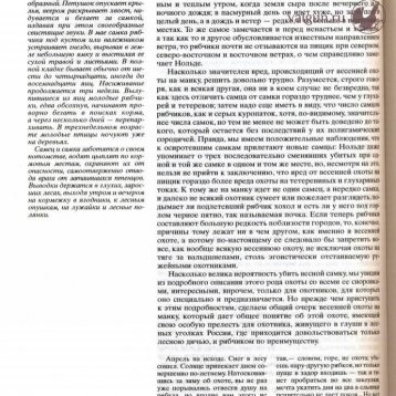 Русская охота Страница 570