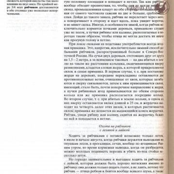 Русская охота Страница 580