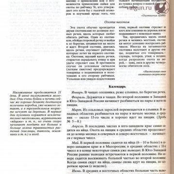 Русская охота Страница 582