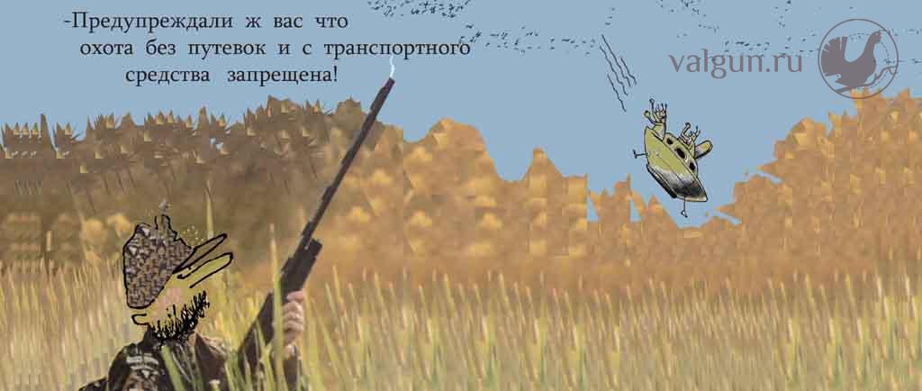 Новые похождения Тимофея Осечкина