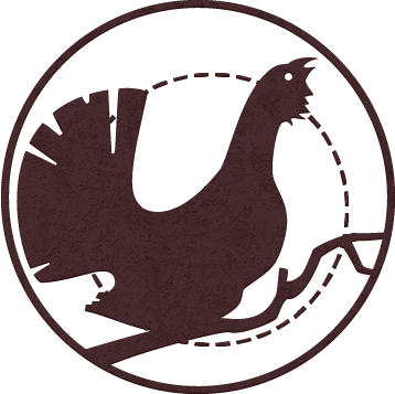 Переулок оружейников - Вальнев Виктор